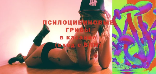 спиды Пересвет