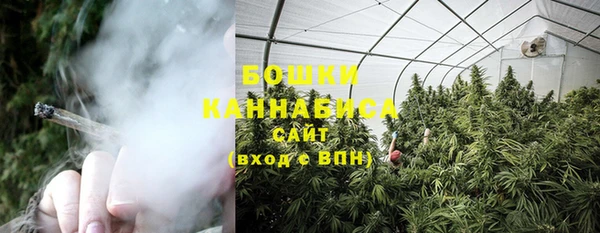 спиды Пересвет