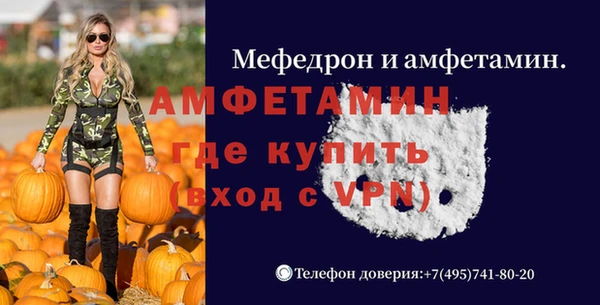 спиды Пересвет