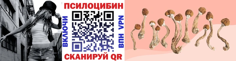 наркотики  Суоярви  Галлюциногенные грибы ЛСД 